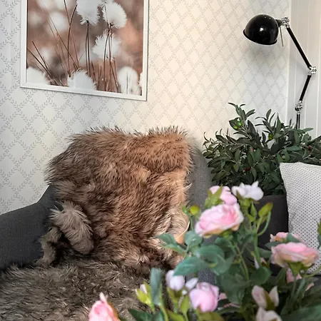 Det Lille Huset I Slipveien *